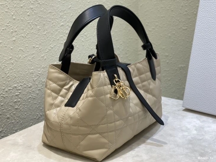 Christian Shopping NewStyle Dior Bags 66600 0712